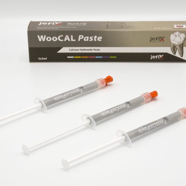 DSCF1715 scaled 600x600